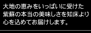 知床の自然から生まれた紫蘇ジュース