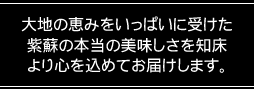 紫蘇ジュースの美味しい知床リ・ライフ